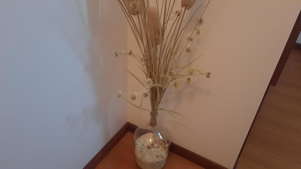 아베이루 Ana Paula House 아파트 외부 사진